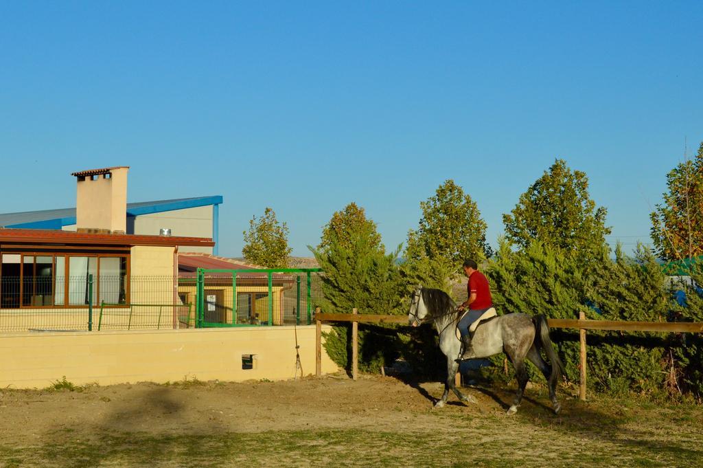 Rural Reillo Alojamientos Rurales Exteriör bild